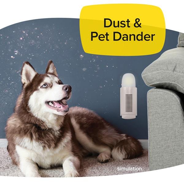 Husky laying down on light gray carpet, gray sofa next to it. Deep blue wall with Air Police plugged in. Headline says Dust & Pet Dander