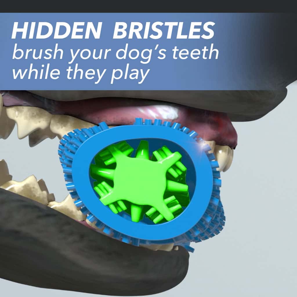 Closeup of a dog's mouth chewing Chewbrush, includes the text "Hidden bristles brush your dog's teeth while they play"