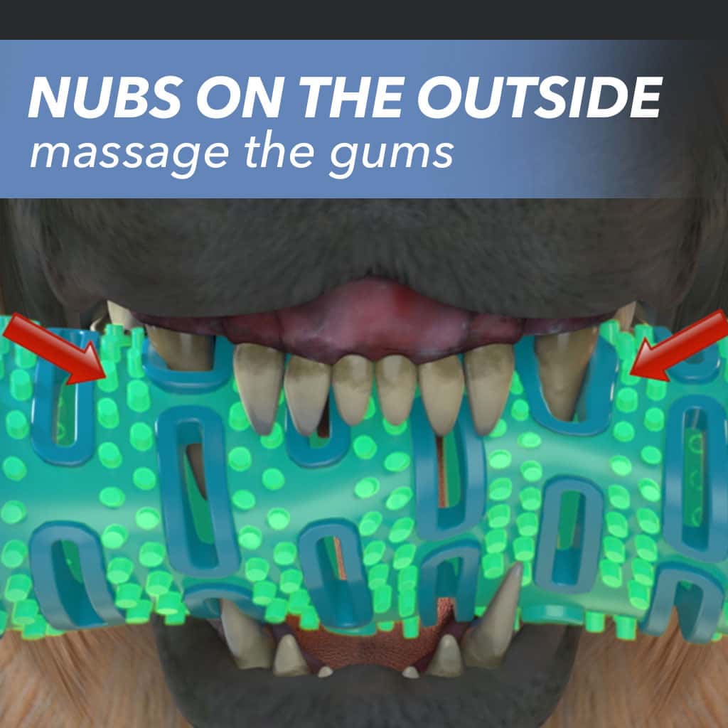 Closeup of a dog's mouth chewing Chewbrush, includes the text "Nubs on the outside massage the gums"
