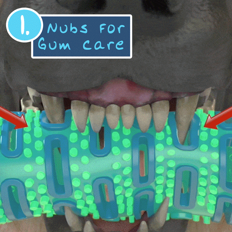 Animated image of a dog's mouth close up chewing on Chewbrush, shows different angles of the dog's mouth, includes text "Nubs for Gum Care", "Openings for Teeth", "Hidden Bristles"