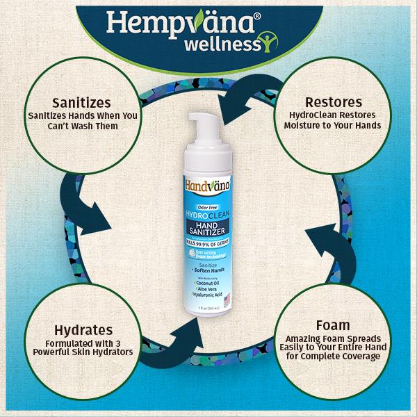 Infographic for Hand Sanitizer says: Sanitizes hands when you can't wash them, Restores moisture to your hands, formulated with 3 powerful skin hydrators, and amazing foam spreads easily to your entire hand for complete coverage