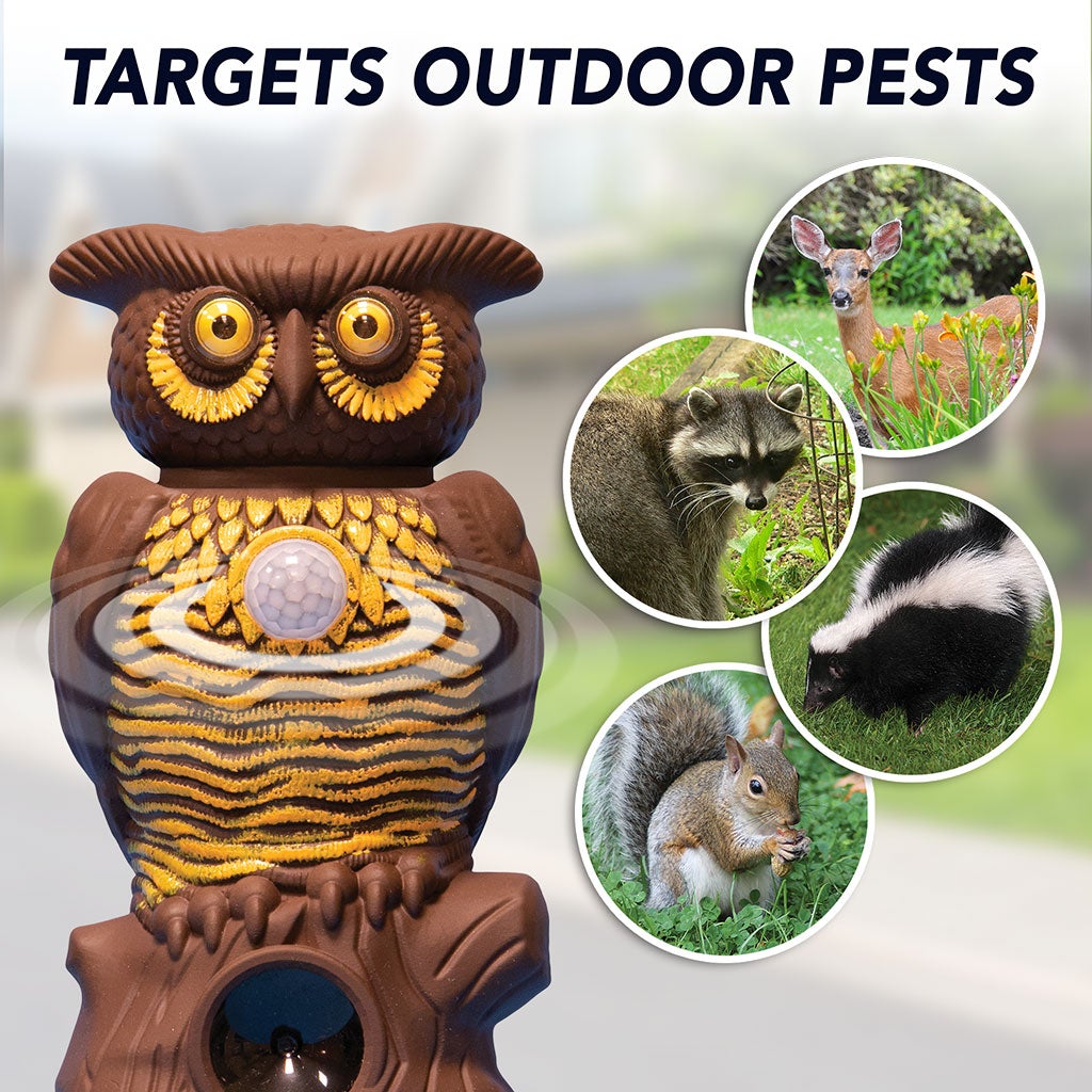 Owl Alert targets outdoor pests such as deer, raccoons, skunks and squirrels.