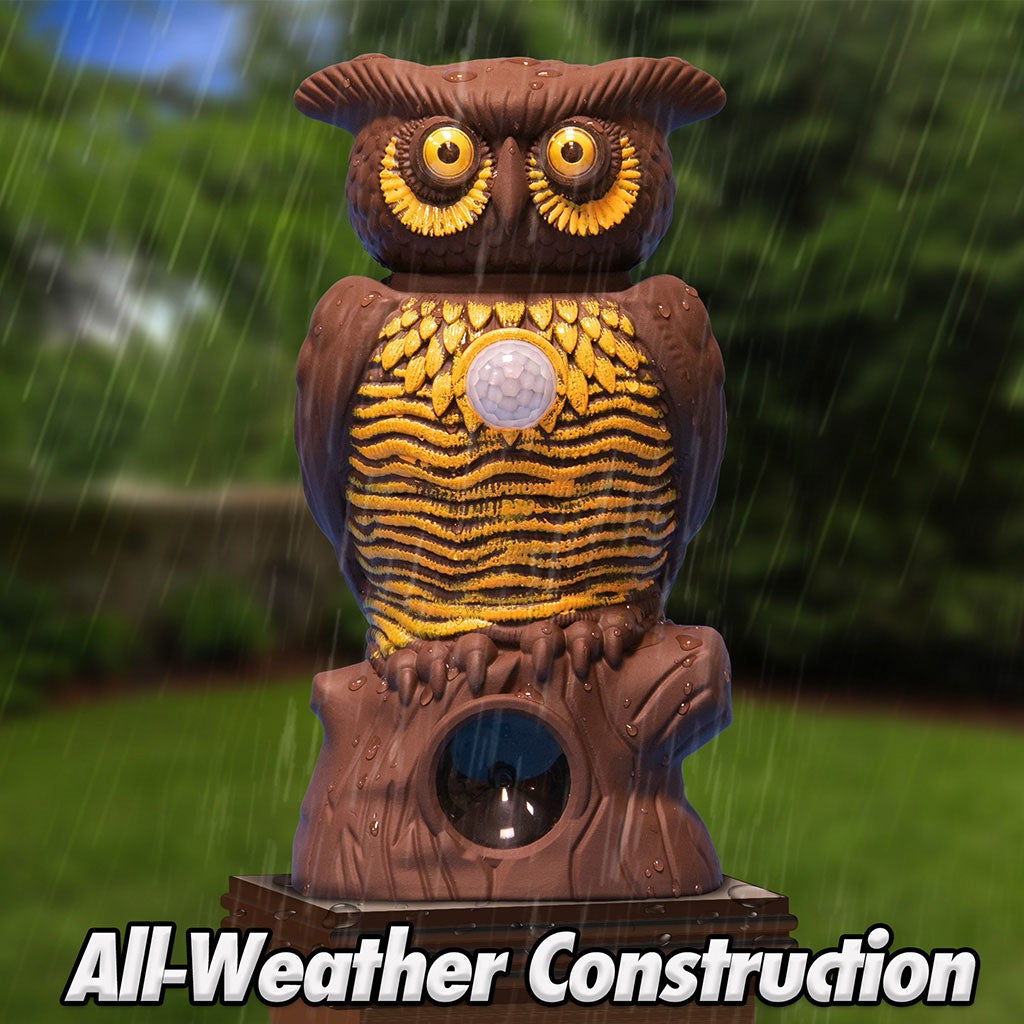 Owl Alert statue in the rain, all weather construction