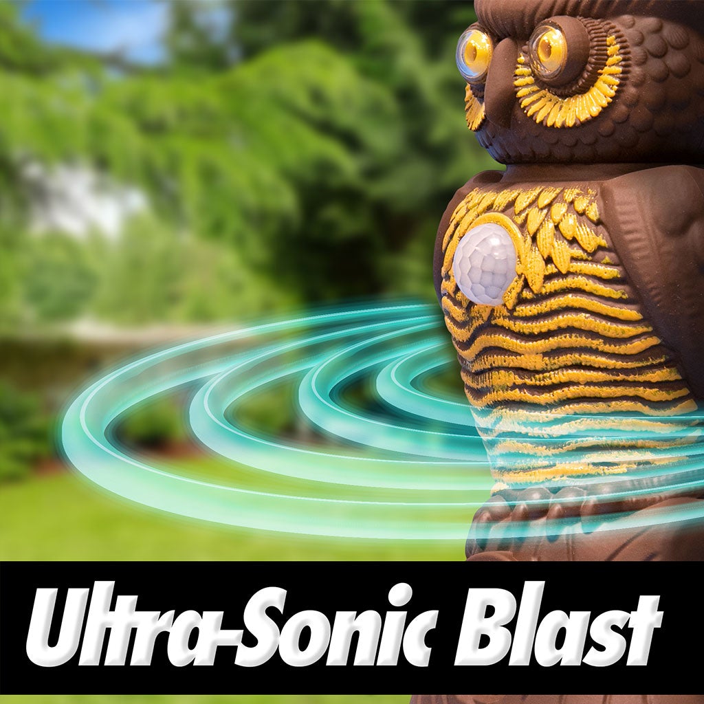 Owl Alert ultra-sonic blast