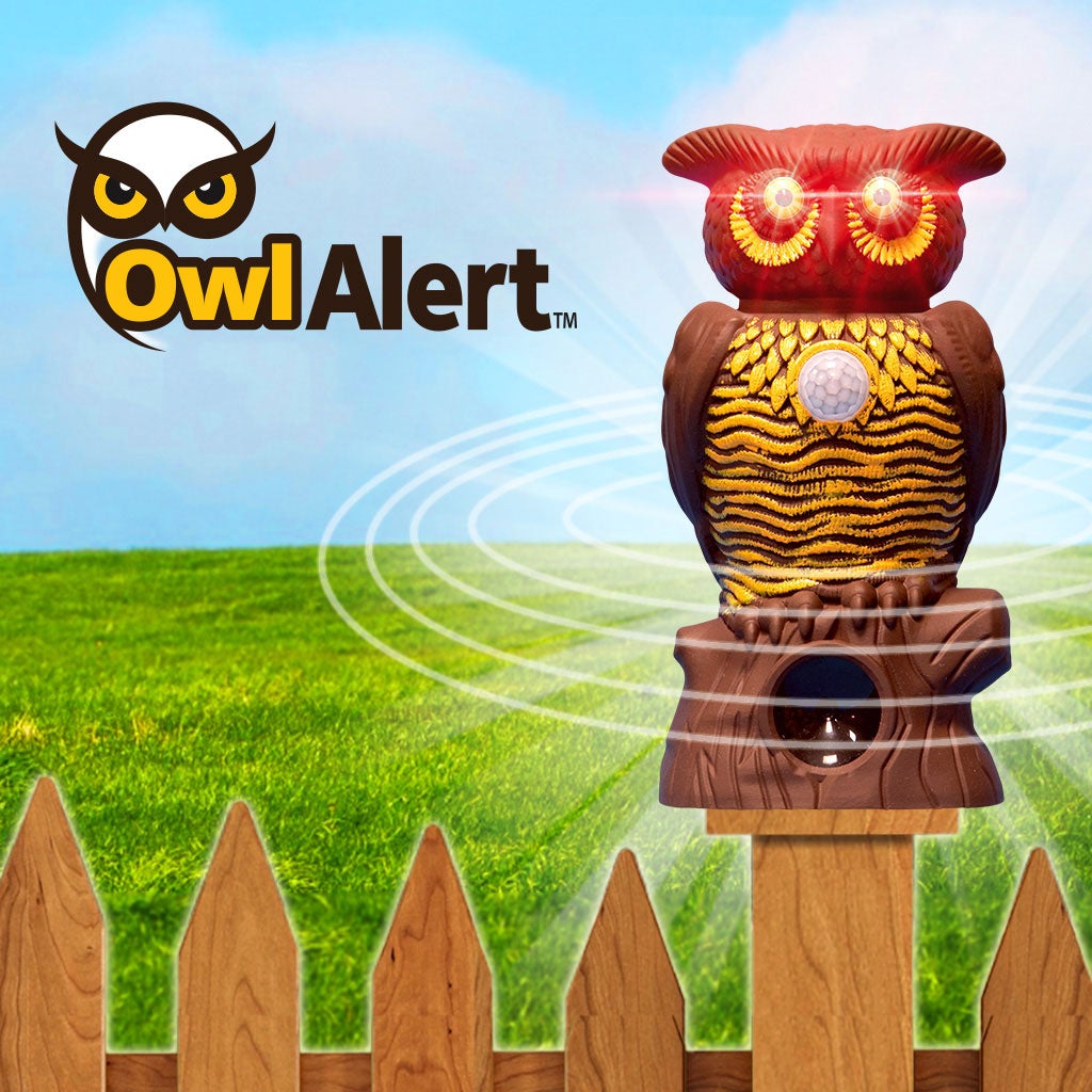 Owl Alert statue on a fence post