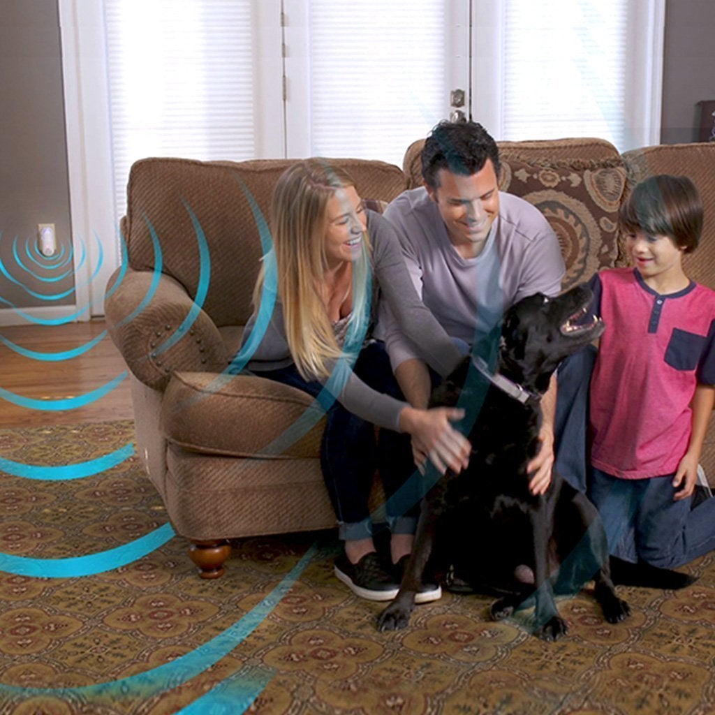 Family sitting on a couch playing with dog, an Atomic Zapper is plugged in the wall in the background